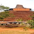 Sri Lanka birding & cultural tour