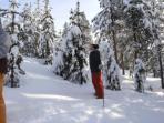 Vacation in Lapland, tailor made vacation in Sweden