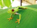 Costa Rica family vacations