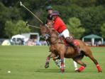 Volunteer at a Polo school in Argentina