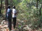 Tree planting holiday in Cameroon