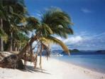 Palawan expedition, Philippines