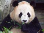 Small group tours to China