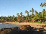 Family tour to Sri Lanka