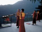 India tour, mountains, temples & hillstations
