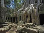 Cambodia photography vacation
