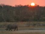 Walking safari in South Africa
