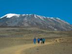 Kilimanjaro Climb, Serengeti safari and Zanzibar