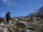 Lemosho Route Kilimanjaro Climb