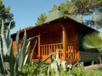 Cirali beach accommodation, Turkey