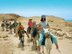Family vacation in Egypt, highlights of Egypt