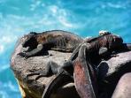 Galapagos small group adventure vacation