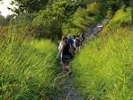 Mexico & Guatemala overland tours