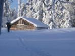 Cross country skiing in Lapland, Sweden