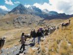 Lares trek in Peru