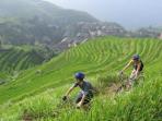 Southern China cycling vacation