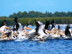 Danube Delta vacations, Romania