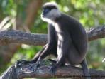 Sri Lanka luxury vacation