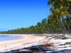 Honeymoon in Brazil
