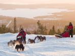 Family winter vacation to Lapland, Finland