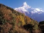 Annapurna Circuit trek, Nepal