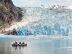 Alaska wildlife cruise