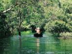 Amazon rainforest luxury holiday, Brazil