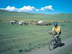 Mongolia cycling vacation