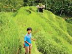 Bali adventure vacation