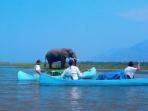 Small group safaris to Zambia