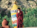 Trekking vacation in Ladakh, The Markha Valley trek