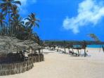 Rajasthan Palaces & Beach vacation in Goa