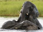 Nairobi to Cape Town overland tour