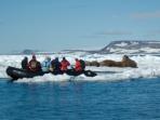 Wildlife cruises to Kamchatka, Chukotka and Wrangel Island, Russia