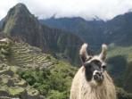 Tailormade vacation in Peru