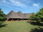 South Luangwa safari, Zambia 