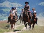 Horse riding vacations in Transylvania