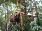 Tree house jungle activity vacations in Thailand