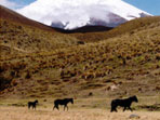 Ecuador vacation, community based tourism