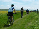 South Downs Way mountain bike vacation, England 