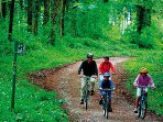New Forest self guided bicycling vacations, England