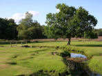 Volunteering taster days in the New Forest, England