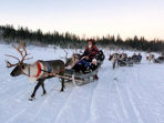 Northern Lights vacation in Lapland, aurora alarm