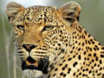 Okavango Delta camping holiday, Botswana