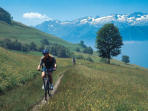 Mountain biking in the Pyrenees