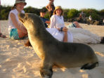 Galapagos conservation projects