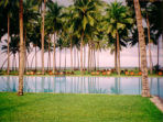 Honeymoon to Sri Lanka