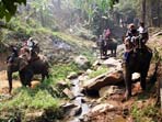 Thailand tailor made vacation
