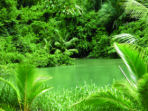 Costa Rica activity vacation