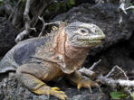 Galapagos activity holiday
